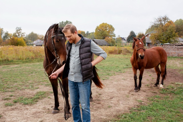 How Long Do Horses Live