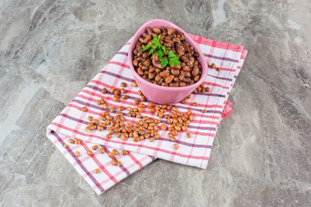 Tips To Choose The Best Dog Food For Dachshunds